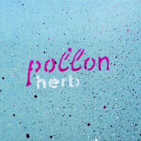 pollon - herb